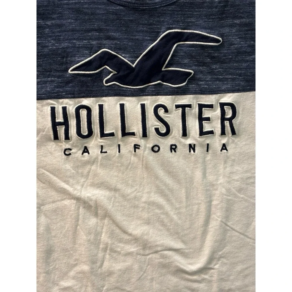 Hollister California Large Seagull Logo T Shirt Mens M Blue White Colorblock Tee